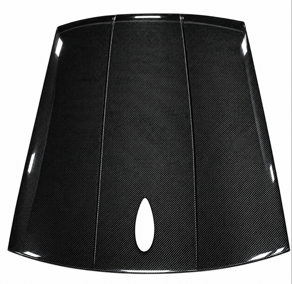 M Style Carbon Fibre Roof